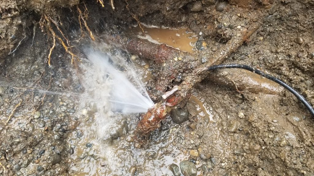 Water Service Leak